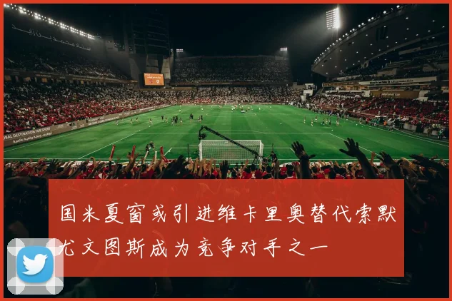 国米夏窗或引进维卡里奥替代索默尤文图斯成为竞争对手之一