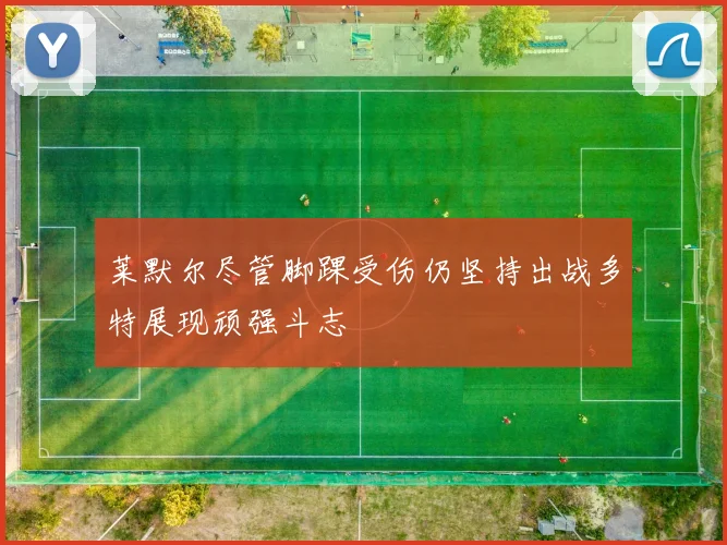 莱默尔尽管脚踝受伤仍坚持出战多特展现顽强斗志